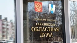 Авто на СВО, клуб предпринимателей, земельные участки: на Сахалине прошла рабочая неделя депутатов