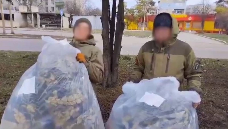 Бойцы с Сахалина поблагодарили активистов «Молодой гвардии» за маскировочные сети