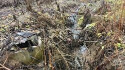Холмская администрация рассказала, почему нерестовую речку топит канализация