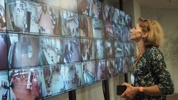 Общественные наблюдатели на Сахалине и Курилах: нарушений на выборах на 14 часов не выявлено