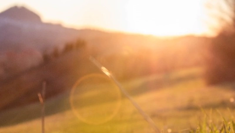 Жаркий день до +31 синоптики пообещали северу Сахалина: прогноз погоды на 7 июля