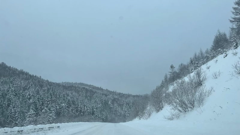 В Сахалинскую область нагрянут крепкие морозы: до минус 30 градусов 4 января