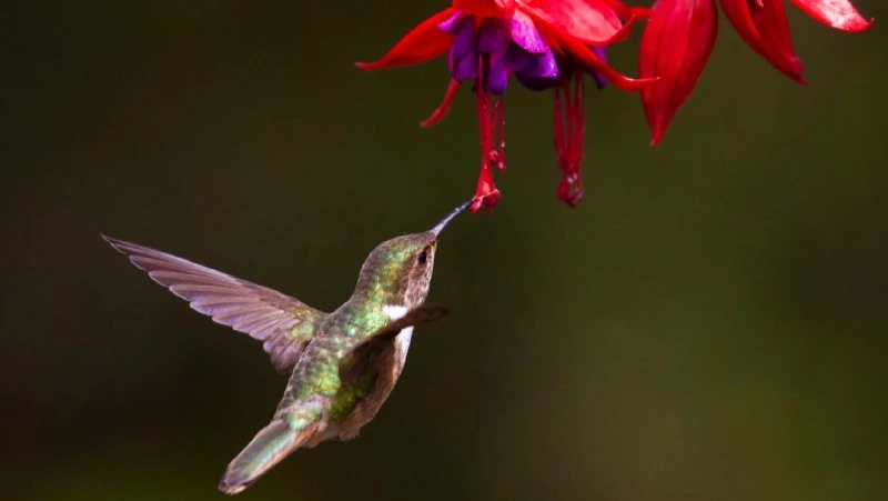 Приметы обо всем на 30 августа 2023 года: что можно и нельзя делать в этот день
