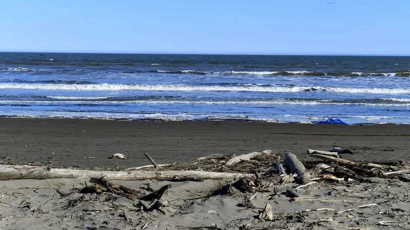 Житель Песчанского пожаловался на отходы, оставленные отдыхающими на побережье