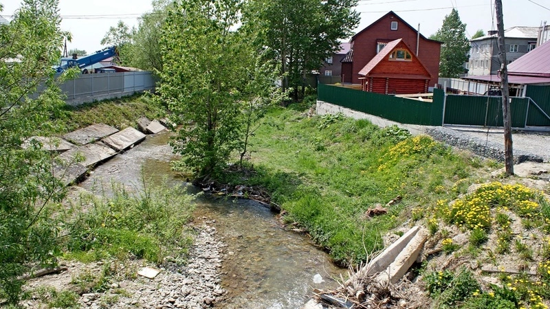 Еланькина гадость