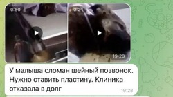 Мошенники собирают деньги на лечение животных от имени приюта из Южно-Сахалинска