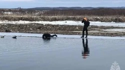 Пропавшего 9-летнего мальчика нашли двое суток спустя на Сахалине