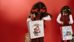 Нужна ли прививка от коронавируса Деду Морозу и Снегурочке на Сахалине?