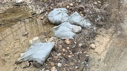 Свалку мусора по дороге к водохранилищу в Южно-Сахалинске ликвидируют до 5 мая 