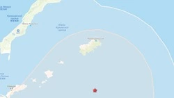 Землетрясение на Курилах: толчки ощущались в нескольких населенных пунктах