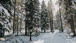 Синоптики рассказали о погоде в Южно-Сахалинске в первый день февраля