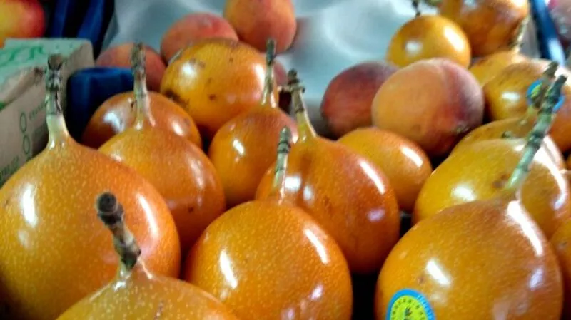 К Новому году на Сахалин привезли экзотическую гранадиллу