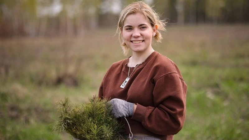 Волонтеры и экологисты Сахалина могут получить премию за помощь в восстановлении лесов