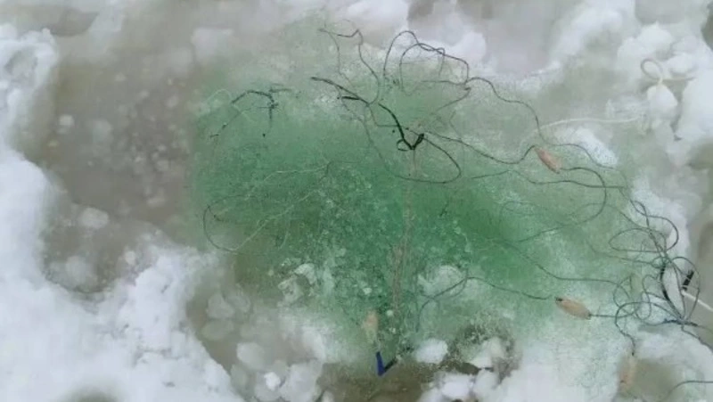 Сахалинская рыбоохрана оштрафовала рыбаков на 400 тысяч с начала 2026 года