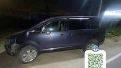 Водитель Mitsubishi Delica сбил пешехода на трассе Троицкое — Новотроицкое 2 июля