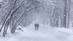 Снег, ветер и гололедицу спрогнозировали на Сахалине и Курилах 31 марта