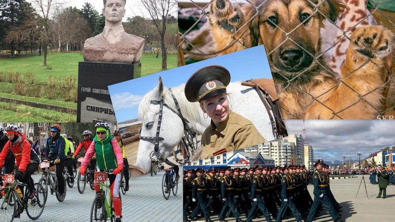 События недели: страшное ДТП, медаль на выброс и убийца коров