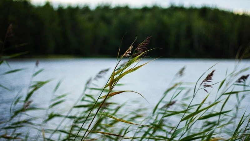 Приметы обо всем на 21 августа 2023 года: что можно и нельзя делать в этот день