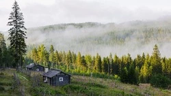 Житель Долинска  снесет постройки и заплатит штраф за самозахват лесного участка