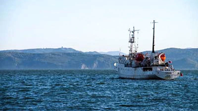 Новации законодателей