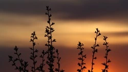 Снег придет на север Сахалинской области 5 мая: прогноз от синоптиков