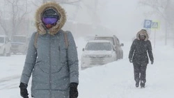 Снег и сильный ветер спрогнозировали синоптики в Южно-Сахалинске 8 марта