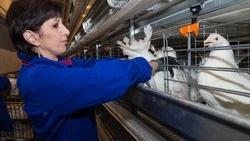 Сразу несколько сельхозпредприятий признались областным депутатам в своих проблемах