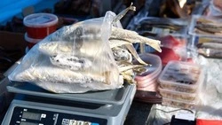 Свежую рыбу по доступным ценам можно приобрести в Южно-Сахалинске 14 февраля