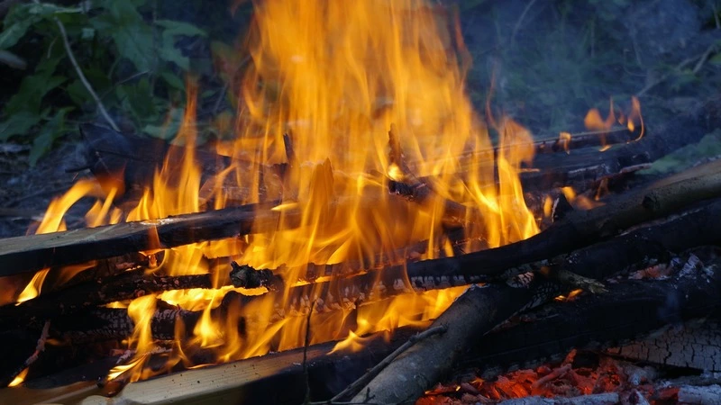 Пожарных Южно-Сахалинска позвали тушить вспыхнувший мусор в старом бараке