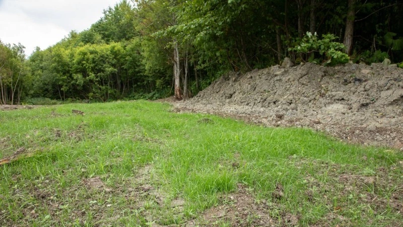 Свалку в Синегорске рекультивируют к октябрю