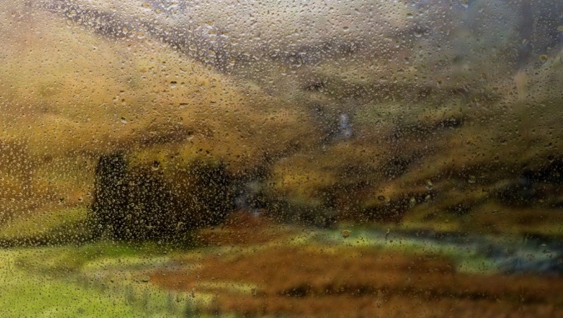 Слабый дождь ожидается в некоторых районах Сахалинской области 8 сентября