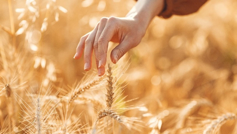 Приметы обо всем на 17 июля 2023 года: что можно и нельзя делать в этот день