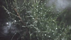 Дожди и потепление до +9 градусов прогнозируют на Сахалине и Курилах 28 марта