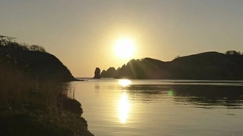 Сайт проектно-образовательного интенсива «Архипелаг 2024» запустили в РФ