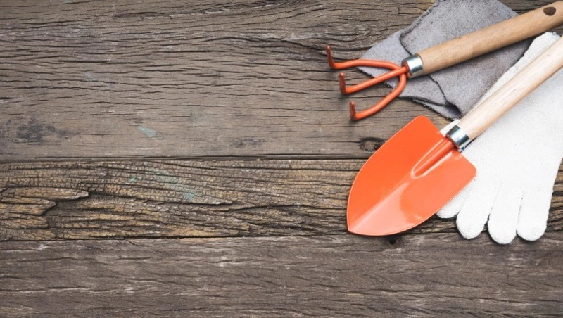 Календарь огородника: какие работы под запретом в новолуние с 18 по 21 мая