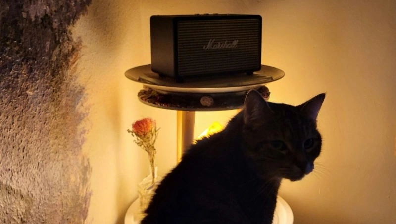 Планировочный район и шесть домов в Южно-Сахалинске оставят без света 28 июля