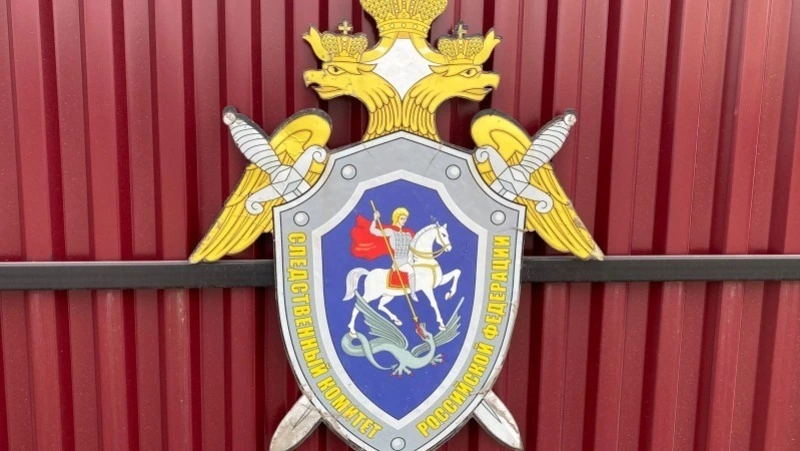 СМИ: Следком начал проверку после побега преступника-рецидивиста на Сахалине