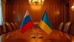 Переговоры РФ и Украины: точной информации о переносе переговоров на 16 мая нет