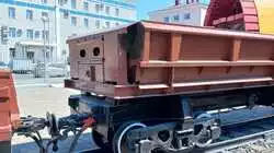 Осы свили огромное гнездо на Сахалине. Оно угрожало посетителям известного музея