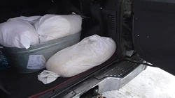 Браконьеров с полной машиной гребешка задержали на Сахалине