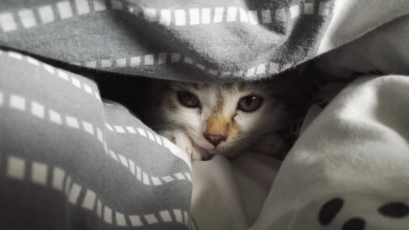 Сотни жителей Южно-Сахалинска останутся без тепла и воды 30 января