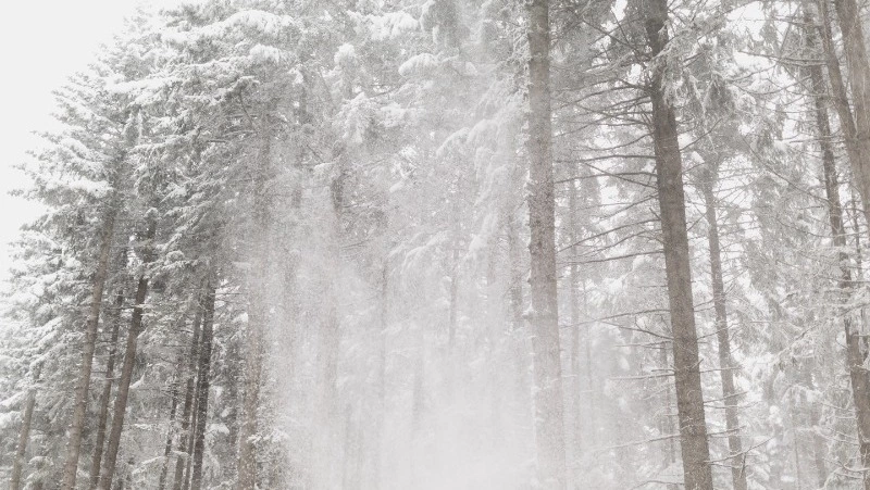 Морозы до -21 градуса придут в долины Сахалина 3 декабря