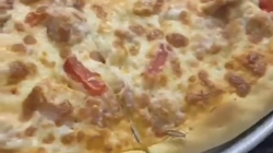 «Фу, какой ужас»:  сахалинцы увидели тараканов на пицце в популярном фуд-корте