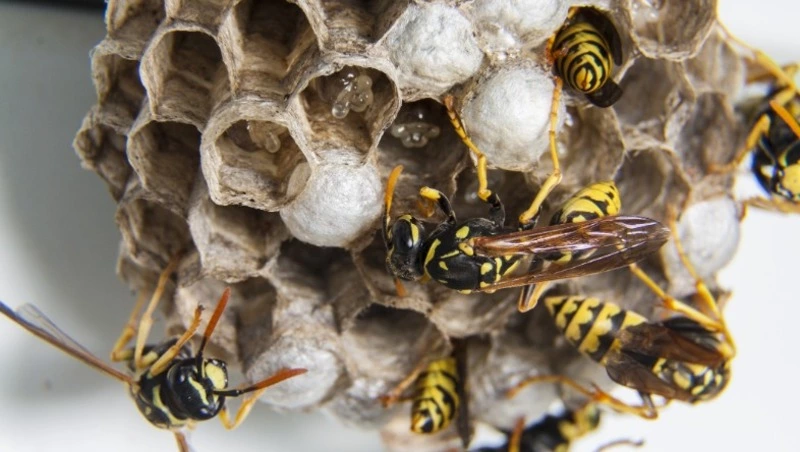 Народные приметы на 18 апреля 2024: что нельзя делать в этот день