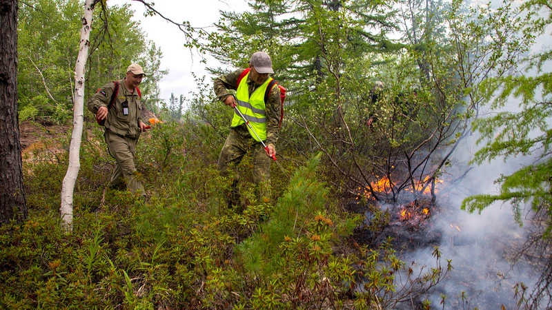Высокая пожароопасность сохраняется в двух районах Сахалина