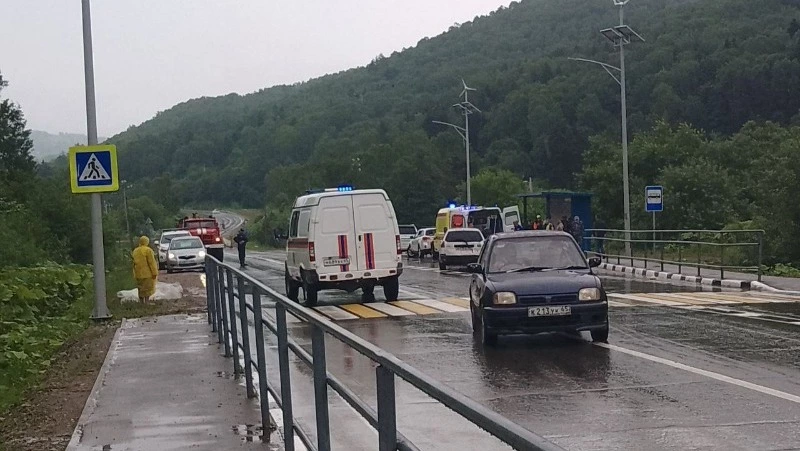Жительница Сахалина погибла в страшной аварии в Холмском районе — соцсети