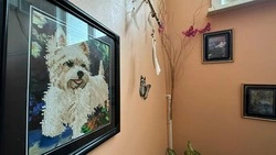 Картины и алмазная мозаика украсили стены одного из подъездов в Невельском районе