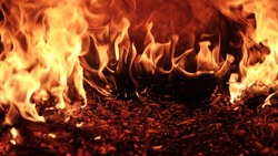 Лесной пожар полыхает на юго-западе Сахалина