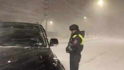 Автомобиль с наркотиками остановили сотрудники ГИБДД в Южно-Сахалинске