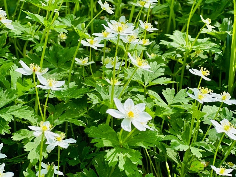 Приметы обо всем на 27 мая 2023 года: что можно и нельзя делать в этот день